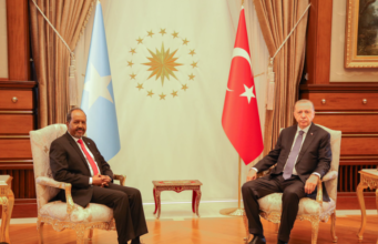 Madaxweynaha DFS oo kulan la qaatay wasiirka Tamarta Turkiga .