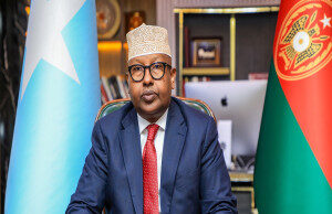 DFS ayaa shaacisay in ciidamada dowladda, oo kaashanaya saaxiibada caalamka, ay howlgal qorsheysan ka fuliyeen gobolka Baay.