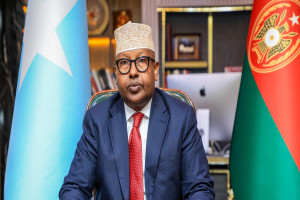 DFS ayaa shaacisay in ciidamada dowladda, oo kaashanaya saaxiibada caalamka, ay howlgal qorsheysan ka fuliyeen gobolka Baay.