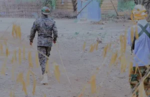 War DEG DEG Ah
