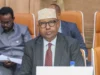 DFS oo sheegtay in dalka uu galay xilli kala-guura.