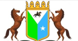Maamulka Waqooyi Bari oo hubka sharci darrada ka mamnuucay deegaannadaasi