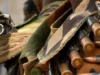 South Sudan cattle raid attacks kill at least 14 people: local official.