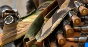 South Sudan cattle raid attacks kill at least 14 people: local official.