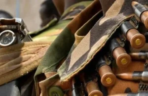 South Sudan cattle raid attacks kill at least 14 people: local official.