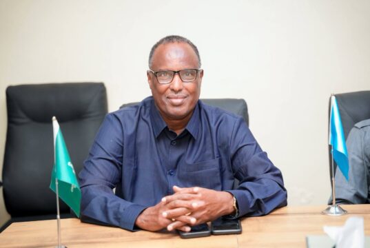 Salaad Cali Jeelle oo lataliye sare u noqday Madaxweyne Xasan Sheekh Maxamuud