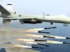 DFS oo Sheegtay in Duqeymo lagu dilay Xubno ka tirsanaa Al-Shabaab