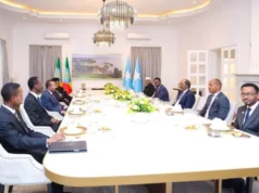 MW Soomaaliya & Ra’iisul wasaaraha Itoobiya ayaa magaalada Adis Ababa kula yeeshay.