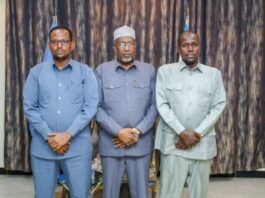 Hoggaamiyaha Koonfur Galbeed oo la kulmay Guddoomiyihii hore ee Deegaanka Awdiinle oo ka Goostay Lafta gareen.