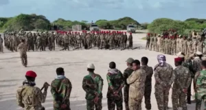 DFS oo wada abaabulka howlgallada ka dahnka ah AS.