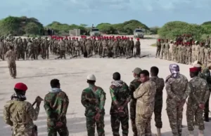 DFS oo wada abaabulka howlgallada ka dahnka ah AS.