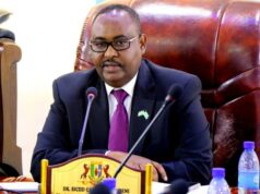 Maamulka Puntland oo shuruud ku xiray aqoonsiga heshiis kasta oo ay wadagalaan DFS & Turkiga
