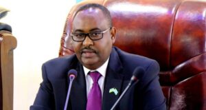 Maamulka Puntland oo shuruud ku xiray aqoonsiga heshiis kasta oo ay wadagalaan DFS & Turkiga