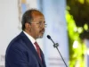 Madaxweynaha Soomaaliya oo sheegay in uusan jirin wax xiriir ama wada-shaqeyn ah oo ka dhexeeya DFS&maamulka Puntland