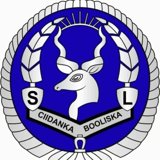 26931cda-d14d-4d0b-b7bb-17e40c88edcd.png-696x696-1