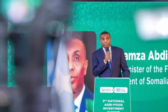 RW Xamsa “Waxaan diidnay in aan Dad dibadda ka keensano oo Dowladnimadeeda ka shaqeeyaan”