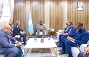 Ra’iisul Wasaare Ku-Xigeenka Soomaaliya oo ku qaabilay Safiirka Indonesia u fadhiya Soomaaliya.