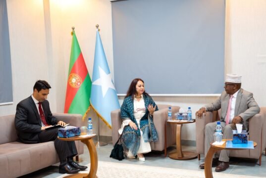 Pakistan oo fulineysa heshiis ay Soomaaliya la gaartay oo la xiriira dib u dhiska Ciidamada Cirka Dalka