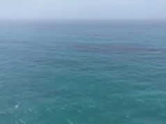Dowladda Cumaan ayaa Isniintii sheegtay inay waddo dadaallo lagu xakamaynayo saliid ku daadatay xeebaha koonfureed