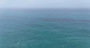 Dowladda Cumaan ayaa Isniintii sheegtay inay waddo dadaallo lagu xakamaynayo saliid ku daadatay xeebaha koonfureed