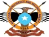 DFS oo sheegtay in maleeshiyaad ka tirsanaa Al-Shabaab lagu dilay Sh/Hoose.