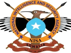 DFS oo sheegtay in maleeshiyaad ka tirsanaa Al-Shabaab lagu dilay Sh/Hoose.