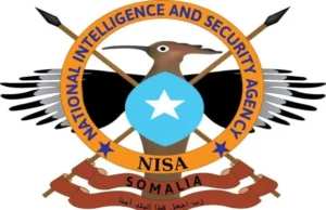 DFS oo sheegtay in maleeshiyaad ka tirsanaa Al-Shabaab lagu dilay Sh/Hoose.
