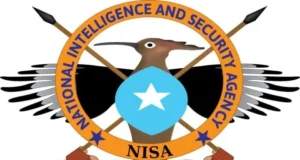 NISA oo Muqdisho ku qabatay xubno ka tirsanaa kooxda Al-shabaab.