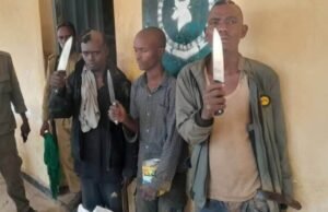 Howlgallo Amni oo Ka Socda Magaalada Baydhabo iyo Eedeysanayaal Mindiyo Ku Hubeysnaa oo La Qabtay