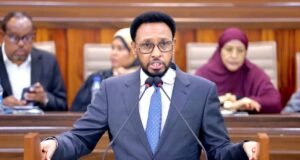 DFS oo dib u dayactir ku sameynaysa Buundada Baardheere