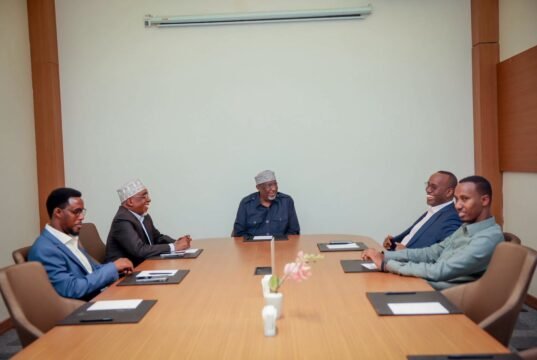 Sawiro;-Hoggaamiye sheekh aadan madoobe oo muqdisho kula kulmay madaxweynihii hore ee koonfur galbeed shariif xasan sheekh aadan