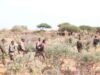 Ciidanka Xoogga Dalka oo sheegay inay Al-Shabaab jab xooggan ku gaarsiiyeen deegaanka Jameeca