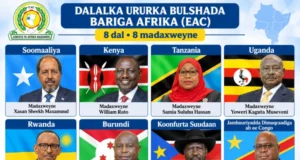 Ma lagu tagi karaa baasaboorka cusub ee Soomaaliya Fiiso la’aan Dalalka ku jira Ururka Bulshada Bariga Afrika?
