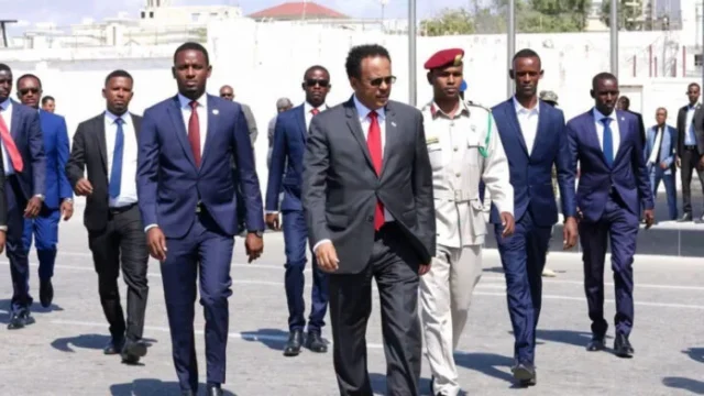 Farmaajo-696x392