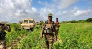 Ciidamada DF oo howlgallo ka dhan ah AS kawada Koofur Galbeed