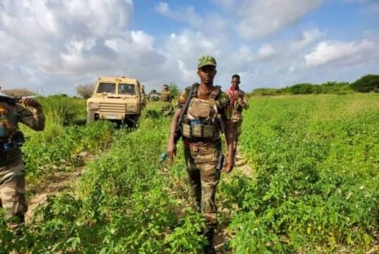 Ciidamada DF oo howlgallo ka dhan ah AS kawada Koofur Galbeed