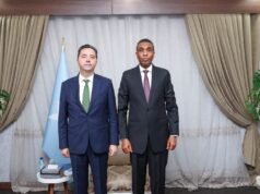 RW Xamsa oo Turkiga uga mahadceliyay dib u dhiska Ciidamada Qalabka sida