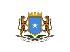 Soomaaliya oo dib u soo ceshatay nidaamka lagu maamulo Tikidhada Diyaaradaha